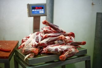 masa-de-paste-din-acest-an,-mai-scumpa.-cu-cat-a-ajuns-sa-se-vanda-carnea-de-miel