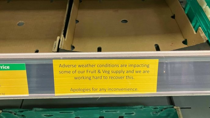 fructele-si-legumele-romanesti,-tot-mai-putine-in-supermarketuri