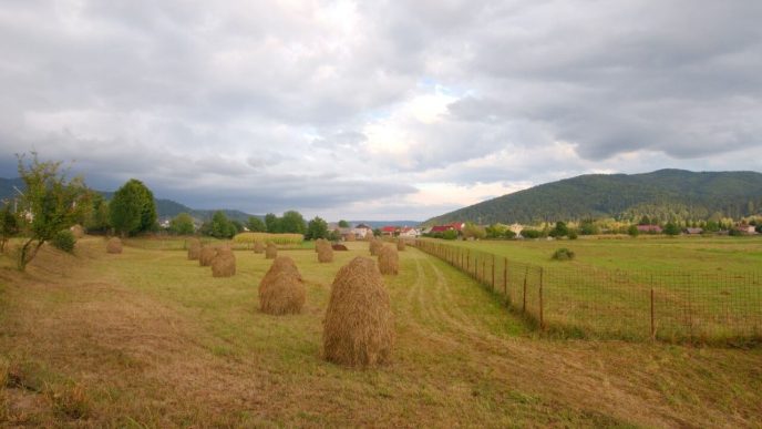 presa-britanica,-despre-romania:-„un-mod-de-viata-traditional-este-pe-cale-de-disparitie”
