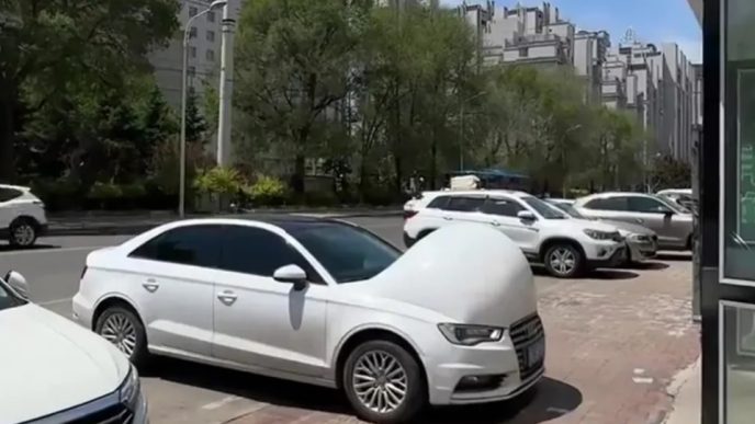 secretul-masinilor-insarcinate-din-china.-sunt-marci-europene-celebre