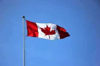 canada-impune-restrictii-de-circulatie-pe-ocean-pentru-a-proteja-o-balena-pe-cale-de-disparitie