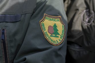 romsilva-economiseste-19-milioane-lei-anual-prin-reducerea-drastica-a-numarului-de-directori