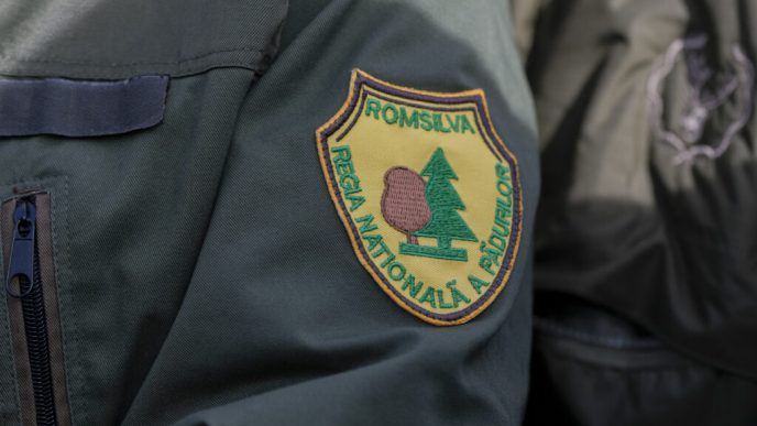 romsilva-economiseste-19-milioane-lei-anual-prin-reducerea-drastica-a-numarului-de-directori