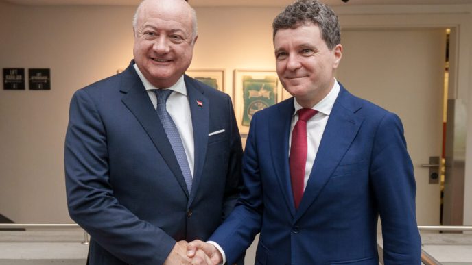 nicusor-dan-a-discutat-cu-cancelarul-austriei-despre-economie,-cooperare-si-extinderea-ue
