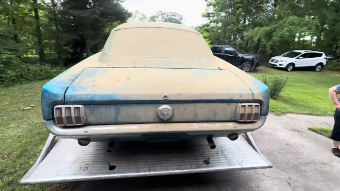cum-arata-un-mustang-care-a-stat-peste-30-de-ani-abandonat-intr-o-baraca-ponosita
