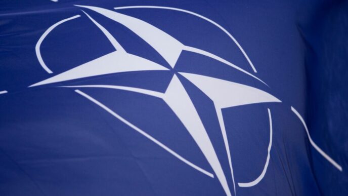 nato-dezvolta-pentru-ucraina-un-nou-tip-de-armament-bazat-pe-tehnologia-ai