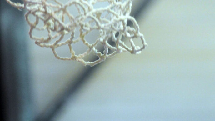 baschetul-romanesc-se-transforma!performanta-nu-se-obtine-prin-intamplare,-ci-prin-viziune