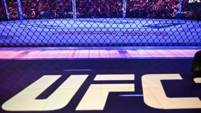 ce-a-patit-cea-mai-sexy-luptatoare-ufc.-a-aparut-plina-de-vanatai