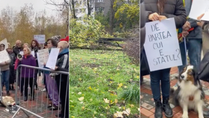 ciucu:-cazul-din-parcul-ior-e-revoltator,-acei-oameni-trebuie-luati-pe-sus