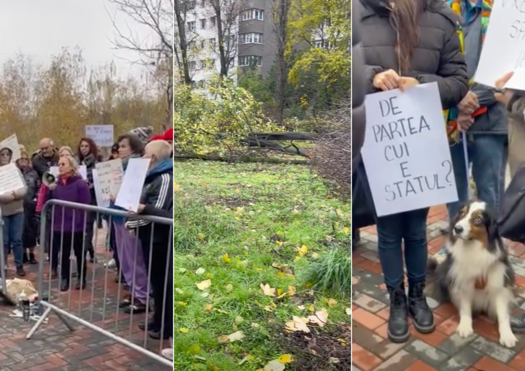 ciucu:-cazul-din-parcul-ior-e-revoltator,-acei-oameni-trebuie-luati-pe-sus