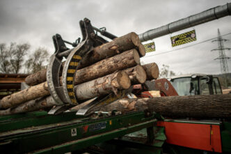 legea-impotriva-defrisarilor-va-fi-amanata-inca-un-an,-decide-parlamentul-european