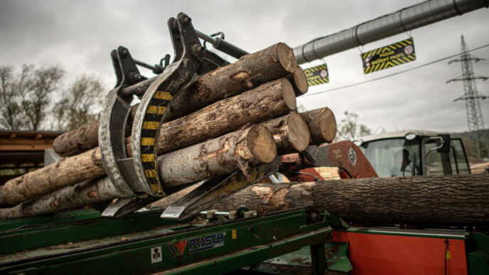 legea-impotriva-defrisarilor-va-fi-amanata-inca-un-an,-decide-parlamentul-european