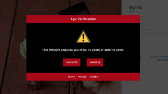 accesarea-retelelor-sociale-si-chatboti-ai,-interzisa-pana-la-varsta-de-16-ani