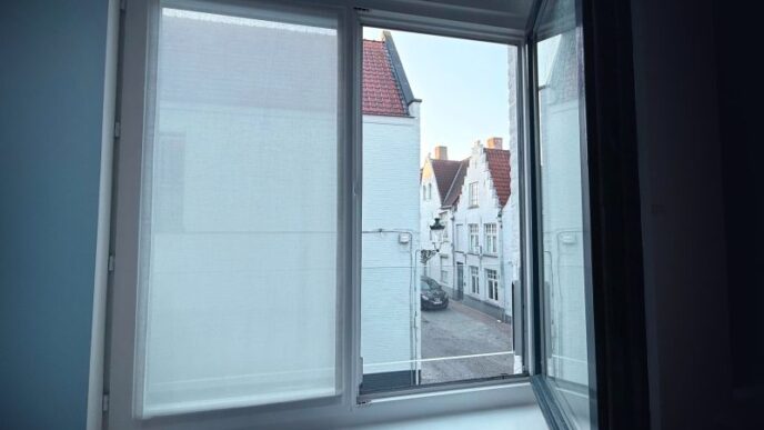 obiceiul-nemtesc-de-a-deschide-larg-ferestrele-inclusiv-iarna-functioneaza,-spun-cercetatorii,-si-are-un-nume:-luften