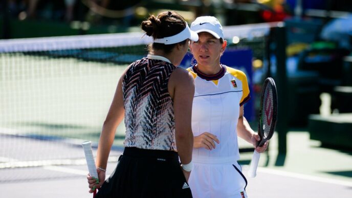 un-gigant-german-a-refuzat-cererea-de-doua-milioane-de-dolari-a-simonei-halep,-dar-ii-da-credit-altei-romance