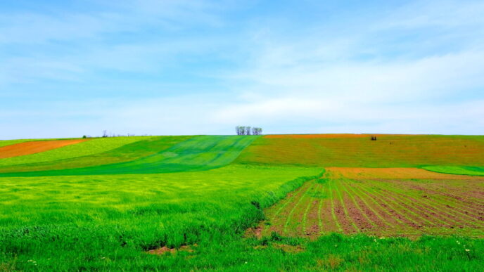 cat-platesti-pentru-un-teren-arabil-in-romania-si-ce-preturi-sunt-practicate-in-alte-state-ale-uniunii-europene,-potrivit-ins