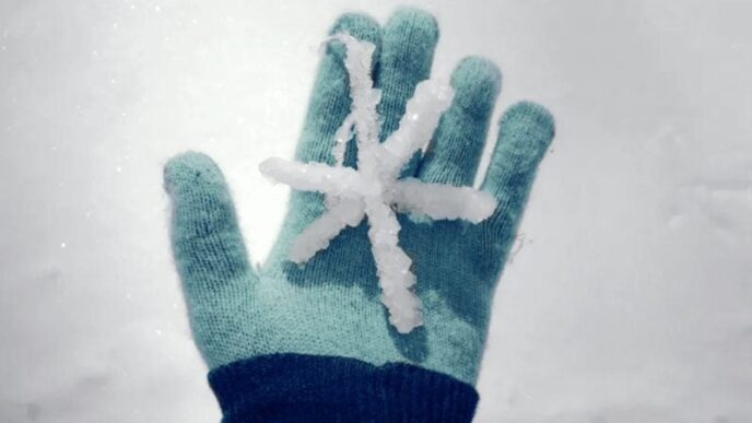 un-fulg-de-zapada-cazut-in-noaptea-de-27-ianuarie-1887-ramane-in-istorie-pentru-dimensiunea-sa-incredibila