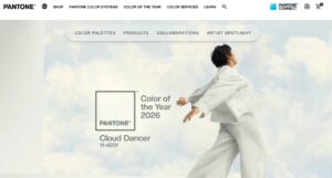 pantone-a-ales-prima-nuanta-de-alb-din-istoria-sa.-culoarea-anului-2026-este-pantone-11-4201-cloud-dancer
