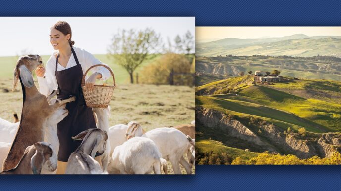 tarile-din-europa-in-care-esti-platit-sa-te-muti-daca-te-ai-saturat-de-costurile-vietii-din-romania