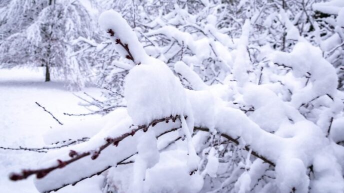 avertizari-meteo-pentru-urmatoarele-ore:-pana-la-50-de-centimetri-de-zapada-la-munte-si-viscol-puternic-in-toata-tara