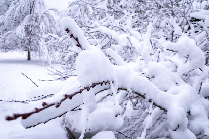 avertizari-meteo-pentru-urmatoarele-ore:-pana-la-50-de-centimetri-de-zapada-la-munte-si-viscol-puternic-in-toata-tara