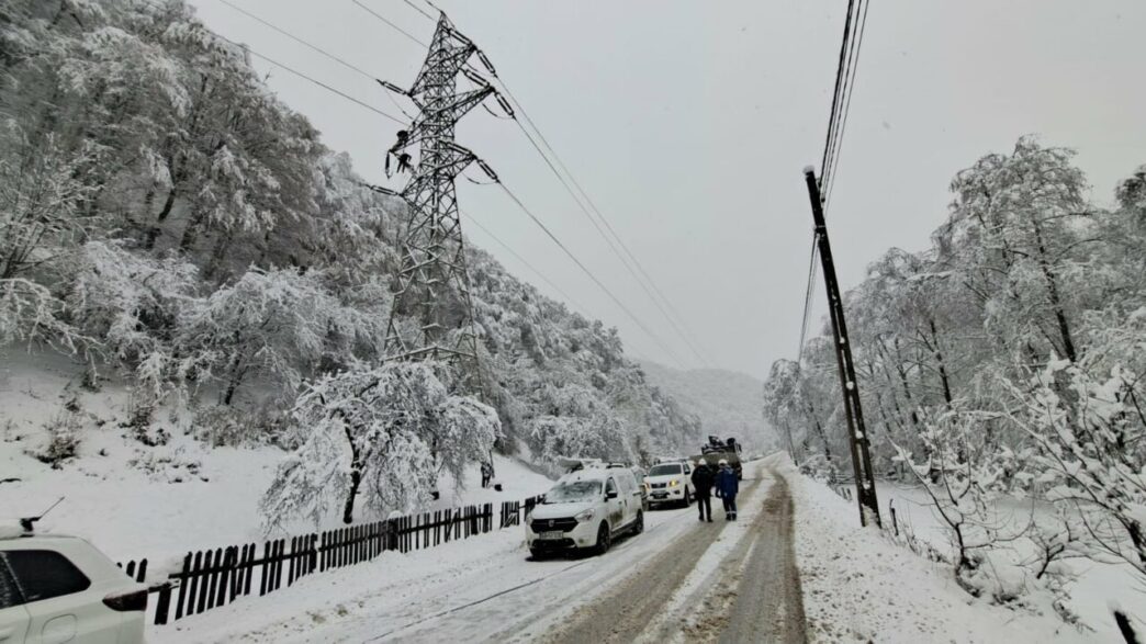 distributie-energie-electrica-anunta-cand-va-reporni-alimentarea-cu-energie-electrica-in-judetele-afectate-de-vant-si-zapada
