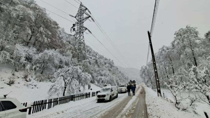 distributie-energie-electrica-anunta-cand-va-reporni-alimentarea-cu-energie-electrica-in-judetele-afectate-de-vant-si-zapada