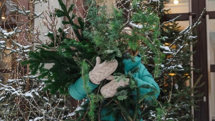 nu-arunca-bradul-de-craciun-dupa-sarbatori:-iata-de-ce-este-inca-valoros