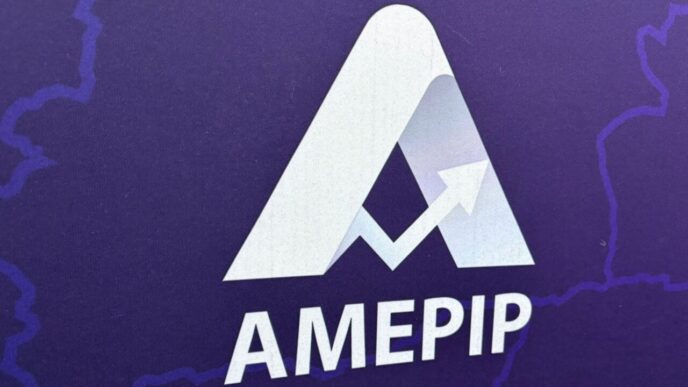 amepip-incepe-controale-fulger-la-peste-800-de-companii-de-stat