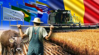 strigatul-unui-fermier-lovit-de-acordul-mercosur:-„este-ceva-politic-impotriva-noastra-si-a-producatorilor-de-hrana”/adrian-mitroi:””