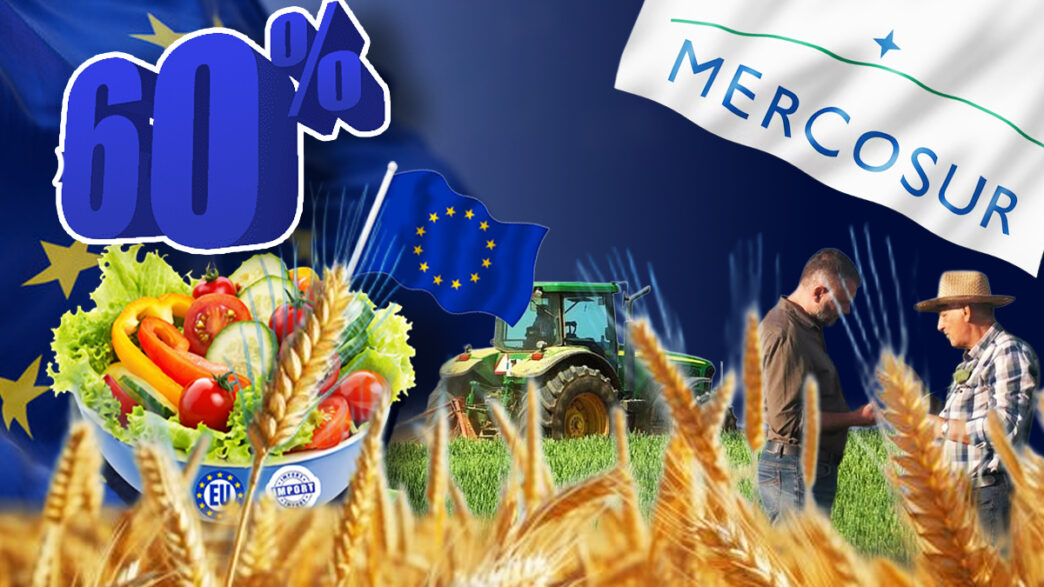 paradoxul-agriculturii-romaniei-in-2026:-suntem-cel-mai-mare-exportator-de-cereale-din-uniunea-europeana