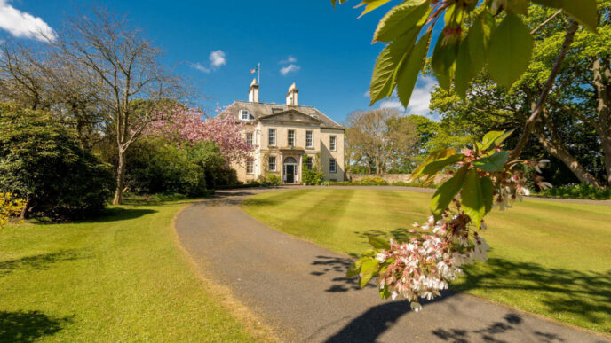 tara-care-taxeaza-conacele-si-avioanele-private-ale-bogatilor-ca-sa-si-protejeze-saracii,-in-timp-ce-trump-da-peste-cap-cea-mai-celebra-bautura-a-lumii