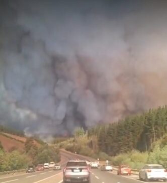 zeci-de-mii-de-oameni-fug-din-calea-incendiilor-in-chile