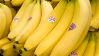 obiectul-din-bucatarie-care-iti-pastreaza-bananele-proaspete-zile-la-rand.-nu-se-mai-innegresc-–-playtech-stiri
