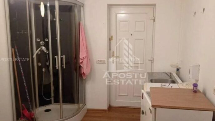 cat-costa-cea-mai-ieftina-garsoniera-din-timisoara.-are-12m-utili,-dusul-este-langa-pat,-iar-baia-si-balconul-sunt-la-comun