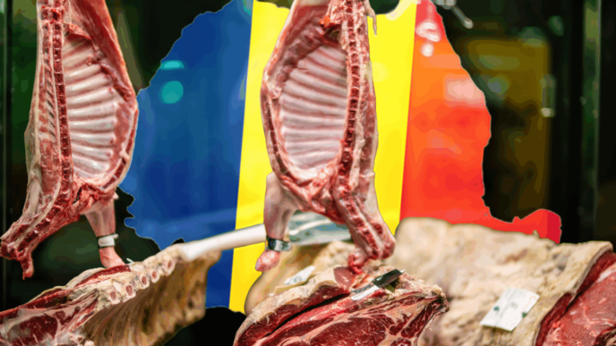 cum-s-a-schimbat-industria-produselor-din-care-din-romania-in-ultimii-17-ani.-profiturile-au-crescut-de-8-ori,-afacerile-s-au-triplat