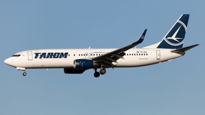 vicepremierul-oana-gheorghiu-despre-tarom:-intr-o-forma-sau-alta,-compania-asta-trebuie-sa-existe