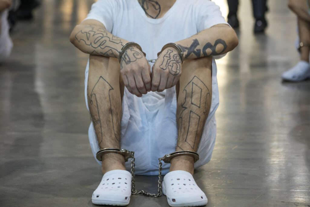 tara-europeana-care-a-reusit-sa-reduca-violenta-si-crimele:-strategia-nationala-din-care-s-ar-putea-inspira-si-romania