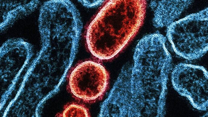 controale-amanuntite-in-aeroporturi-din-asia-dupa-ce-india-anunta-noi-infectii-cu-virusul-nipah