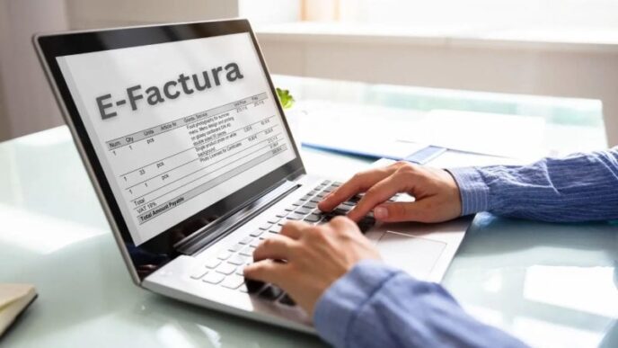 guvernul-acorda-termen-de-tranzitie-pentru-ro-e-factura-pana-la-1-iunie,-pentru-persoanele-fizice-impozabile