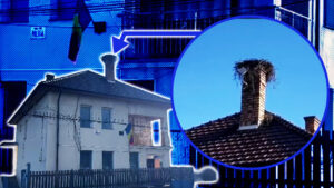 o-barza-a-oprit-incalzirea-cu-lemne-in-postul-de-politie-din-calatele.-si-a-facut-cuib-pe-cosul-de-fum