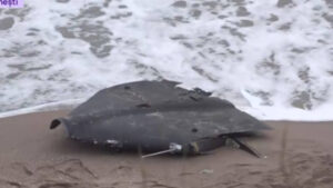 o-noua-alerta-la-marea-neagra-fragmente-de-drona-militara,-descoperite-de-la-costinesti.-parchetul-de-pe-langa-curtea-de-apel-constanta-face-verificari