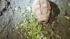 alerta-in-galati:-o-grenada-a-fost-descoperita-in-apropierea-garii-din-orasul-de-pe-dunare