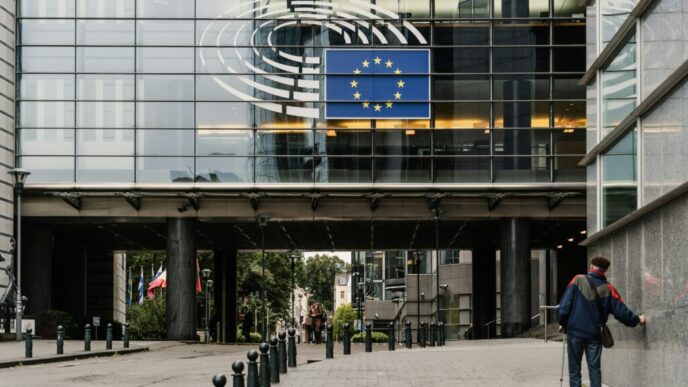 comisia-europeana-anunta-sprijin-suplimentar-pentru-regiunile-estice-de-la-granita-cu-rusia,-belarus-si-ucraina