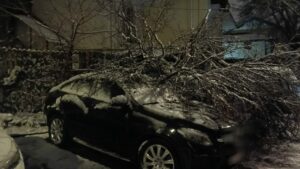 zapada-a-facut-ravagii-si-in-arges.-pe-langa-drumurile-cu-circulatie-ingreunata,-a-doborat-mai-multi-copaci-peste-masini-si-stalpii-de-electricitate
