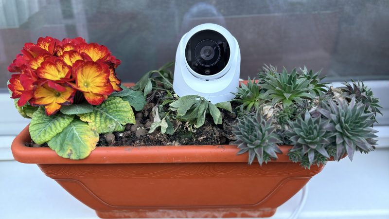 review-synology-tc500-–-cand-camera-de-supraveghere-vine-cu-inteligenta-artificiala,-se-configureaza-usor-si-te-ajuta-sa-scapi-de-grija-stocarii-filmarilor