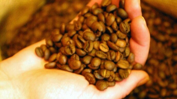 preturile-globale-ale-cafelei,-blocate-intre-recoltele-record-si-perturbarile-din-hormuz