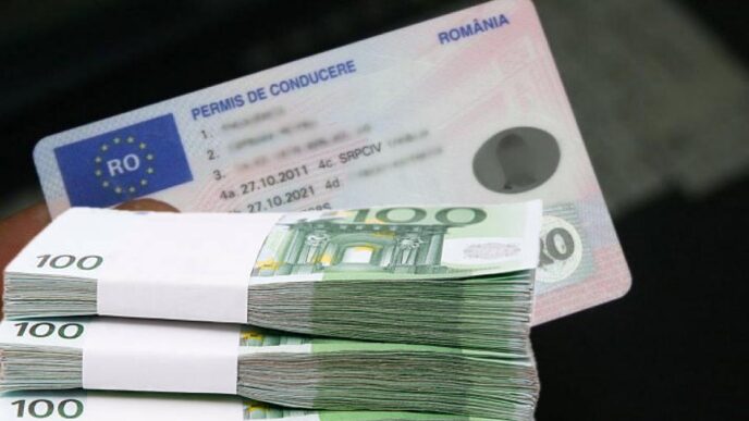 statul-din-ue-da-25.000-de-euro-fiecarui-sofer-care-renunta-la-permis-timp-de-5-ani