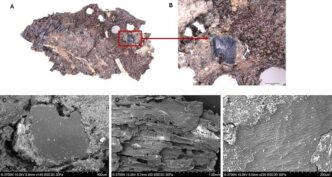 oala-din-epoca-de-piatra-ascundea-retete-surprinzatoare-ce-gateau,-de-fapt,-oamenii-preistorici-acum-8.000-de-ani