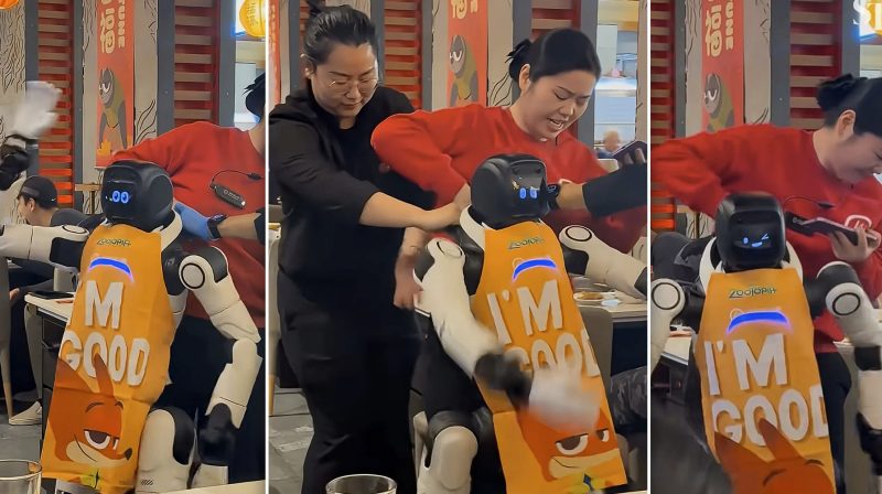 video:-un-robot-umanoid-a-scapat-de-sub-control-intr-un-restaurant-si-a-facut-praf-tot-ce-i-a-iesit-in-cale